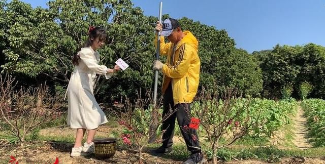 24小时直播图集 | 14时-15时，花田解锁拍桃花照，AI花市教你买年花