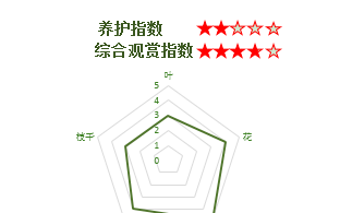 63个从国外引进的树，2个价格跌了95%！还有3个只能砍了当柴卖