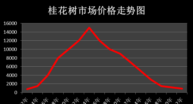 2022年，各地桂花树的工程采购价，看看你家的能卖多少钱一棵？