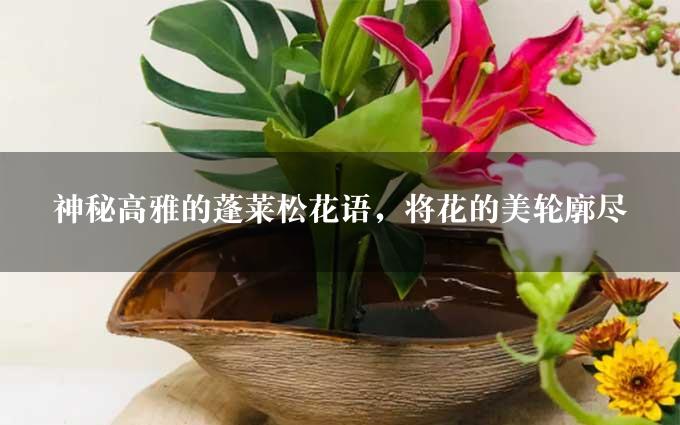 神秘高雅的蓬莱松花语，将花的美轮廓尽