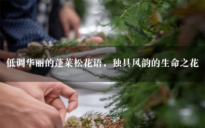 低调华丽的蓬莱松花语，独具风韵的生命之花