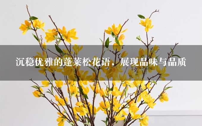 沉稳优雅的蓬莱松花语，展现品味与品质