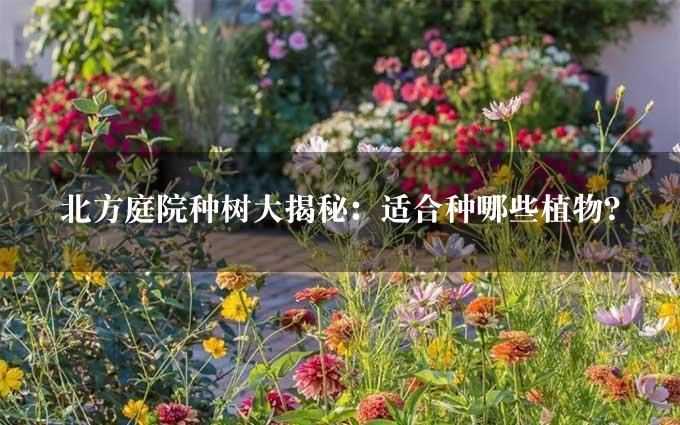 北方庭院种树大揭秘：适合种哪些植物？