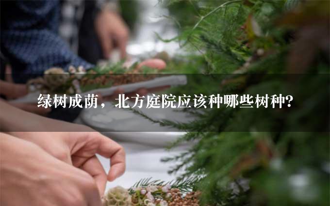 绿树成荫，北方庭院应该种哪些树种？