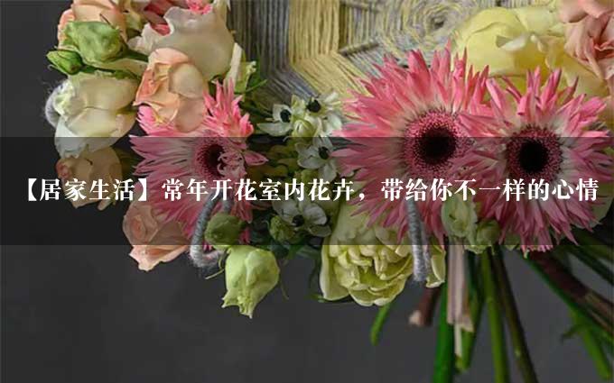 【居家生活】常年开花室内花卉，带给你不一样的心情