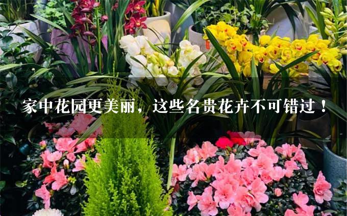 家中花园更美丽，这些名贵花卉不可错过！