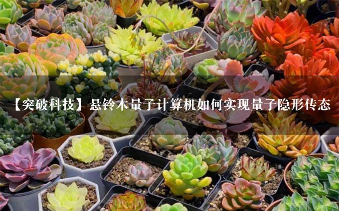 【突破科技】悬铃木量子计算机如何实现量子隐形传态