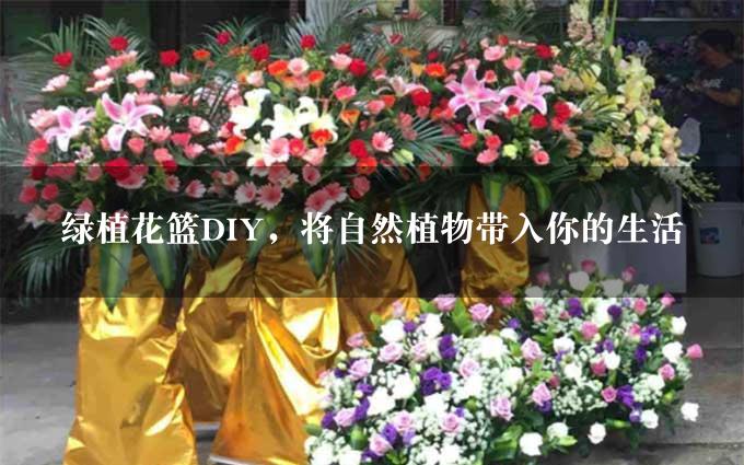 绿植花篮DIY，将自然植物带入你的生活