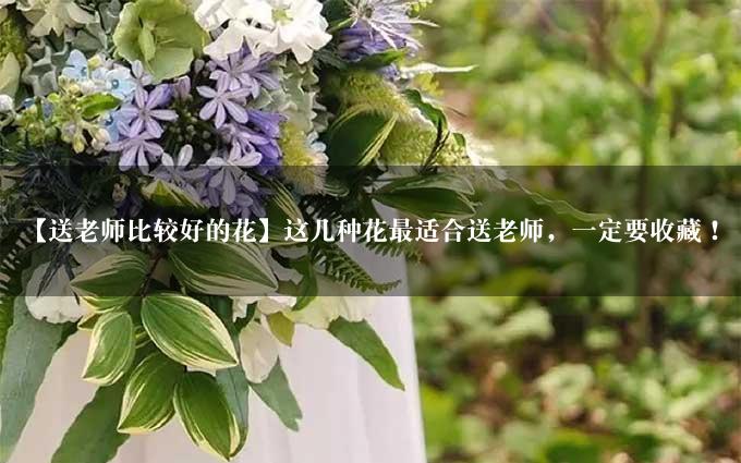 【送老师比较好的花】这几种花最适合送老师，一定要收藏！