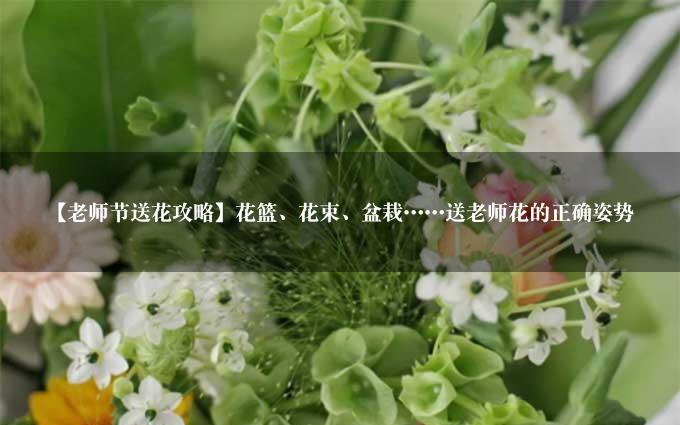 【老师节送花攻略】花篮、花束、盆栽……送老师花的正确姿势