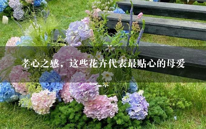 孝心之感，这些花卉代表最贴心的母爱