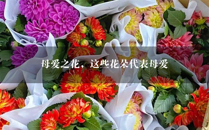 母爱之花，这些花朵代表母爱