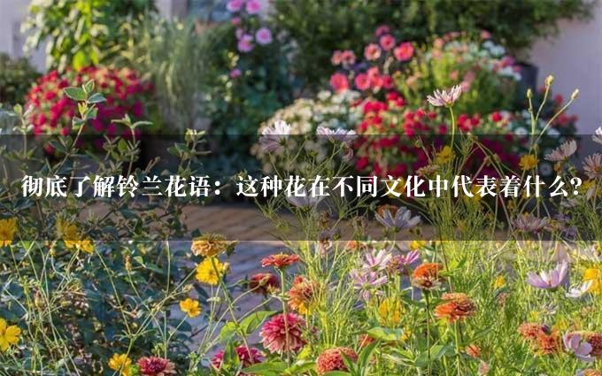 彻底了解铃兰花语：这种花在不同文化中代表着什么？