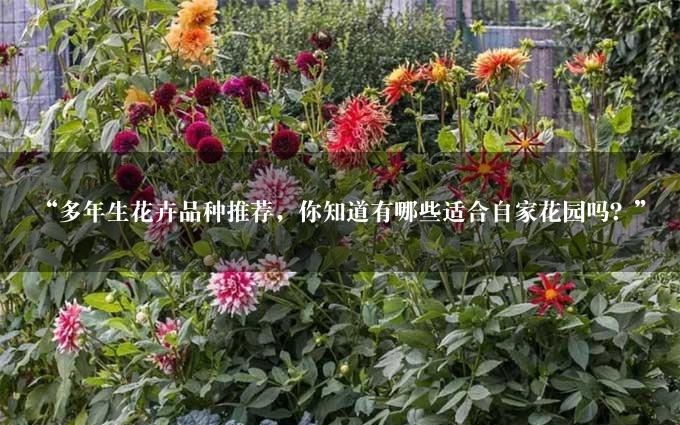 “多年生花卉品种推荐，你知道有哪些适合自家花园吗？”