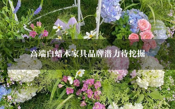 高端白蜡木家具品牌潜力待挖掘