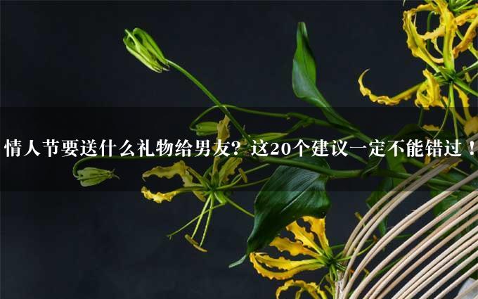 情人节要送什么礼物给男友？这20个建议一定不能错过！