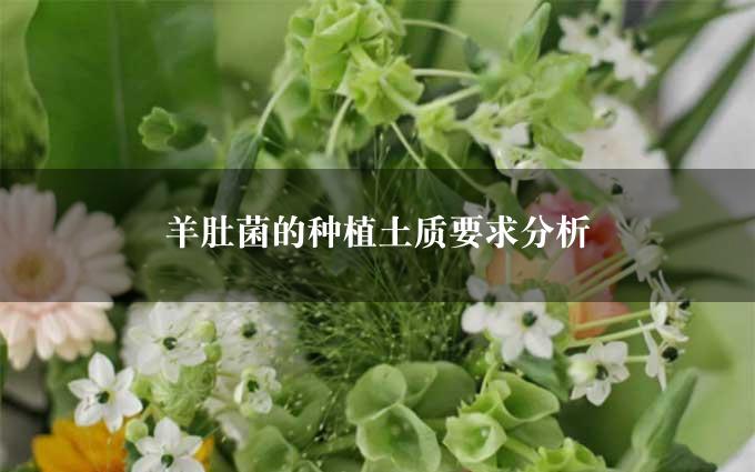 羊肚菌的种植土质要求分析