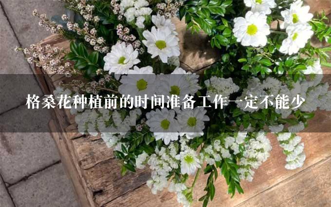 格桑花种植前的时间准备工作一定不能少