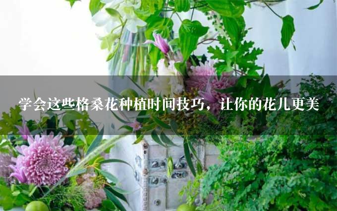 学会这些格桑花种植时间技巧，让你的花儿更美