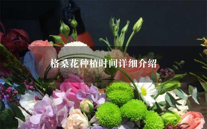 格桑花种植时间详细介绍