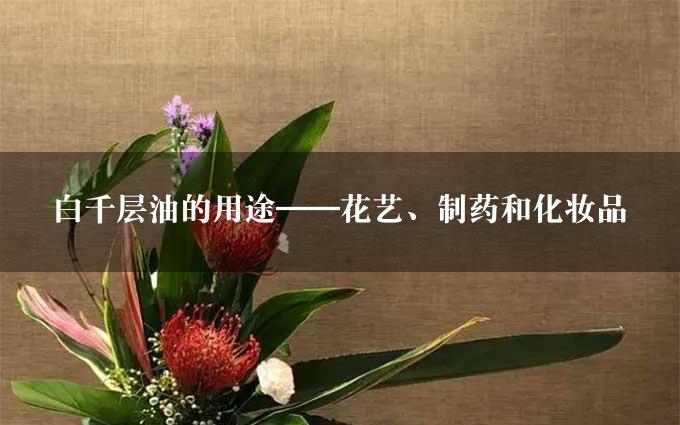 白千层油的用途——花艺、制药和化妆品