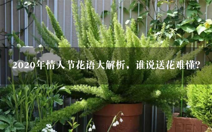 2020年情人节花语大解析，谁说送花难懂？