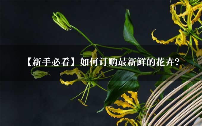 【新手必看】如何订购最新鲜的花卉？