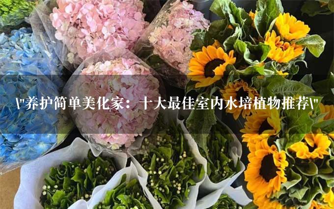 "养护简单美化家：十大最佳室内水培植物推荐"