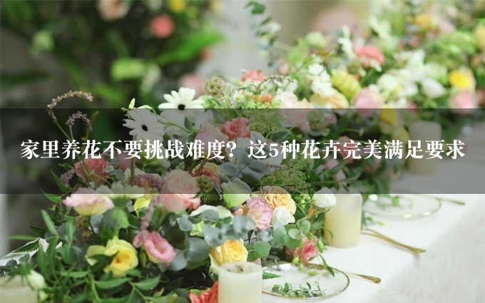 家里养花不要挑战难度？这5种花卉完美满足要求