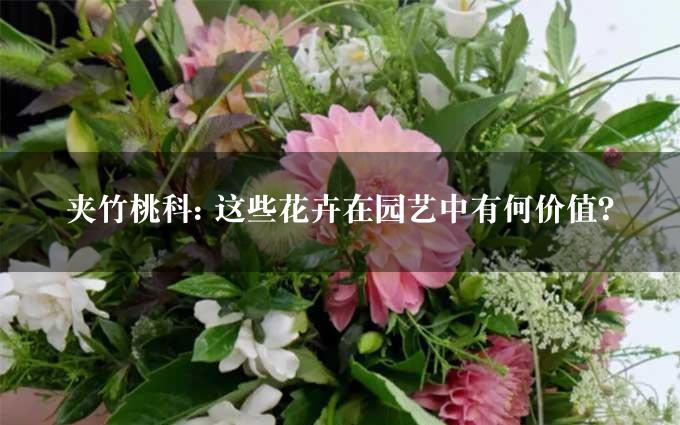 夹竹桃科: 这些花卉在园艺中有何价值？