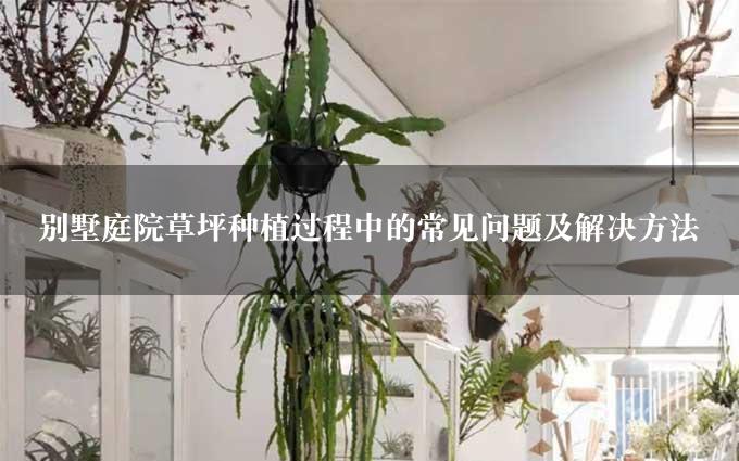 别墅庭院草坪种植过程中的常见问题及解决方法