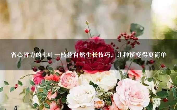 省心省力的七叶一枝花自然生长技巧，让种植变得更简单