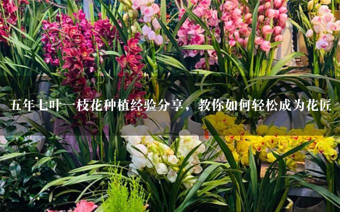 五年七叶一枝花种植经验分享，教你如何轻松成为花匠