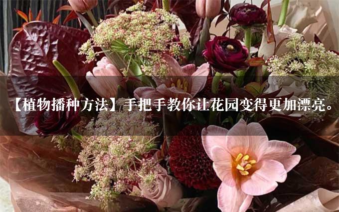 【植物播种方法】手把手教你让花园变得更加漂亮。