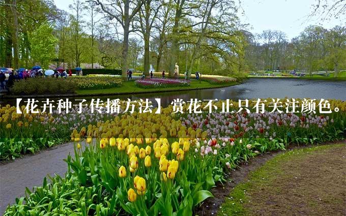 【花卉种子传播方法】赏花不止只有关注颜色。