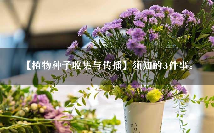 【植物种子收集与传播】须知的3件事。