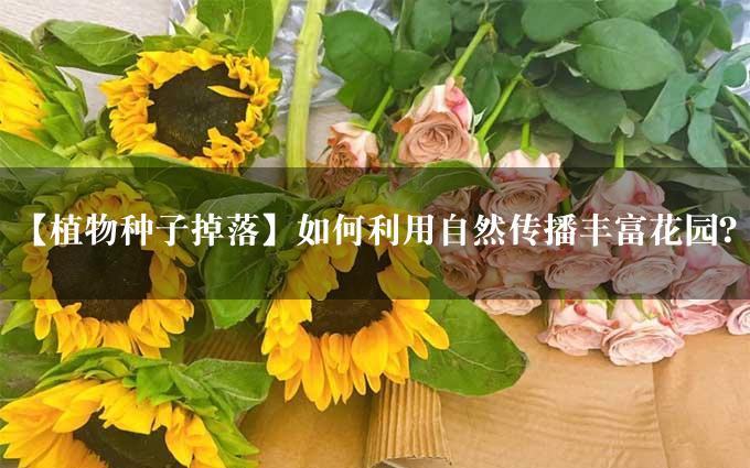 【植物种子掉落】如何利用自然传播丰富花园？