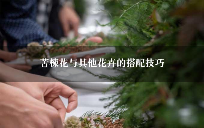 苦楝花与其他花卉的搭配技巧