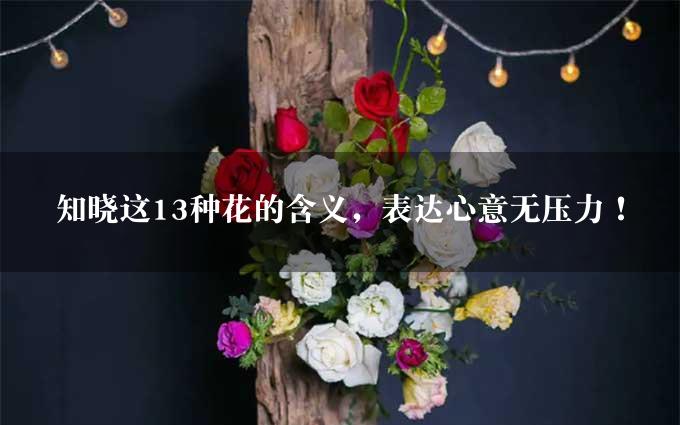 知晓这13种花的含义，表达心意无压力！