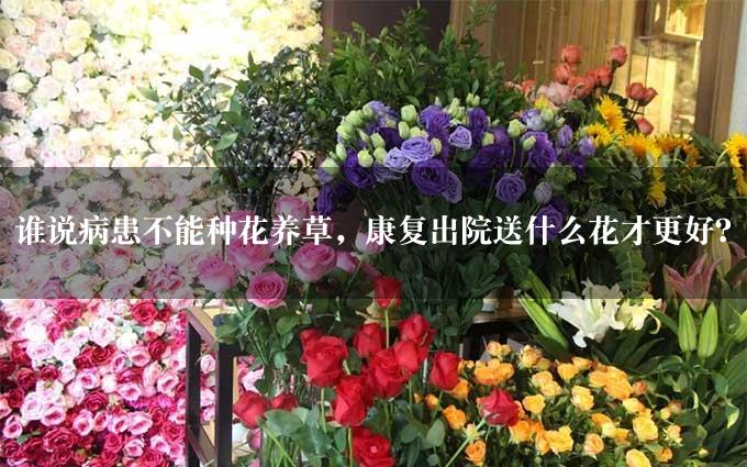 谁说病患不能种花养草，康复出院送什么花才更好？