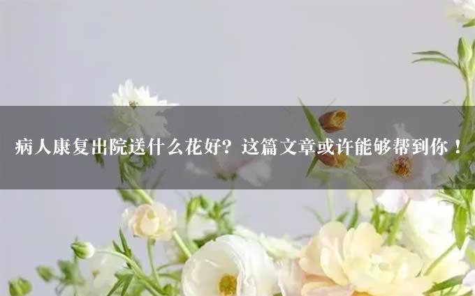 病人康复出院送什么花好？这篇文章或许能够帮到你！