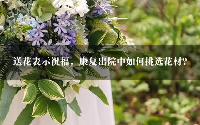 送花表示祝福，康复出院中如何挑选花材？