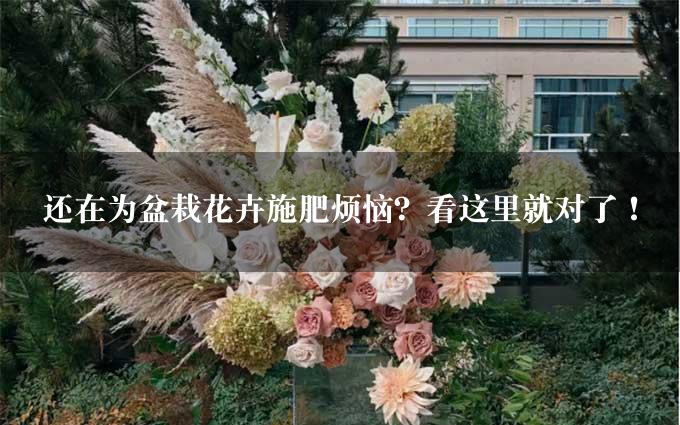 还在为盆栽花卉施肥烦恼？看这里就对了！