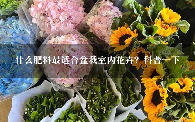 什么肥料最适合盆栽室内花卉？科普一下