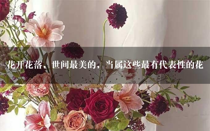 花开花落，世间最美的，当属这些最有代表性的花