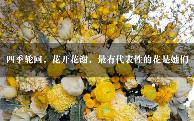 四季轮回，花开花谢，最有代表性的花是她们