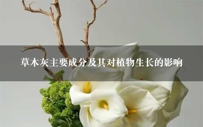 草木灰主要成分及其对植物生长的影响