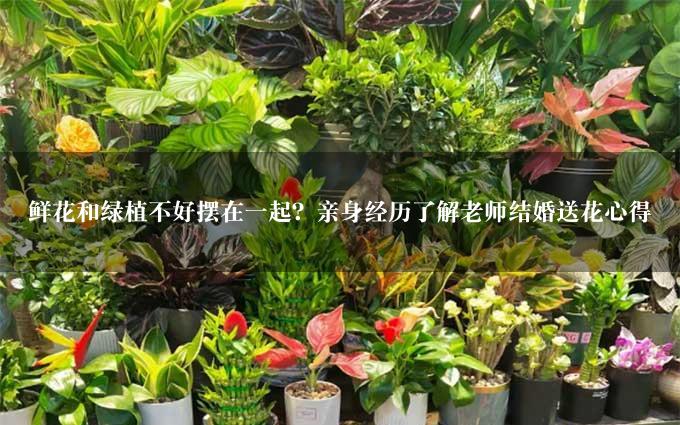 鲜花和绿植不好摆在一起？亲身经历了解老师结婚送花心得