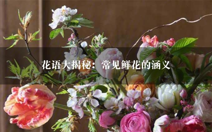 花语大揭秘：常见鲜花的涵义