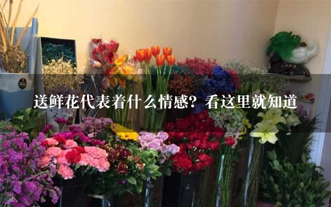 送鲜花代表着什么情感？看这里就知道